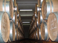 Cooperativa Agrícola de Santo Isidro de Pegões - Montijo Vence prémio internacional