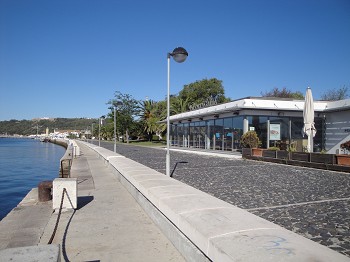 Terminais públicos do Porto de Setúbal crescem 14% até setembro Terminais de Uso Privativo cresceram 1,4%,