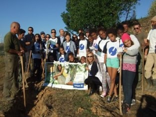 10.000 árvores já foram plantadas pela Allianz Portugal