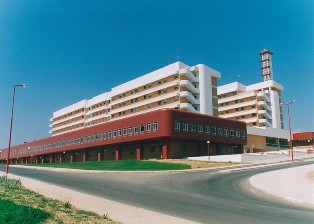ALMADA - COMUNICAÇÃO EM PEDIATRIA «Na pediatria temos que ir muito mais além do que a comunicação verbal»