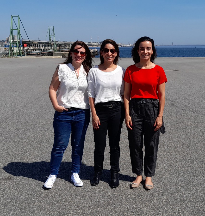 Brasileiros da ANTAQ visitam Porto de Setúbal Conhecer aspetos operacionais do porto, do volume de movimentação