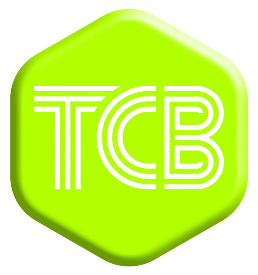 Barreiro - Plenário de Trabalhadores dos TCB Perturbações significativas no funcionamento das carreiras