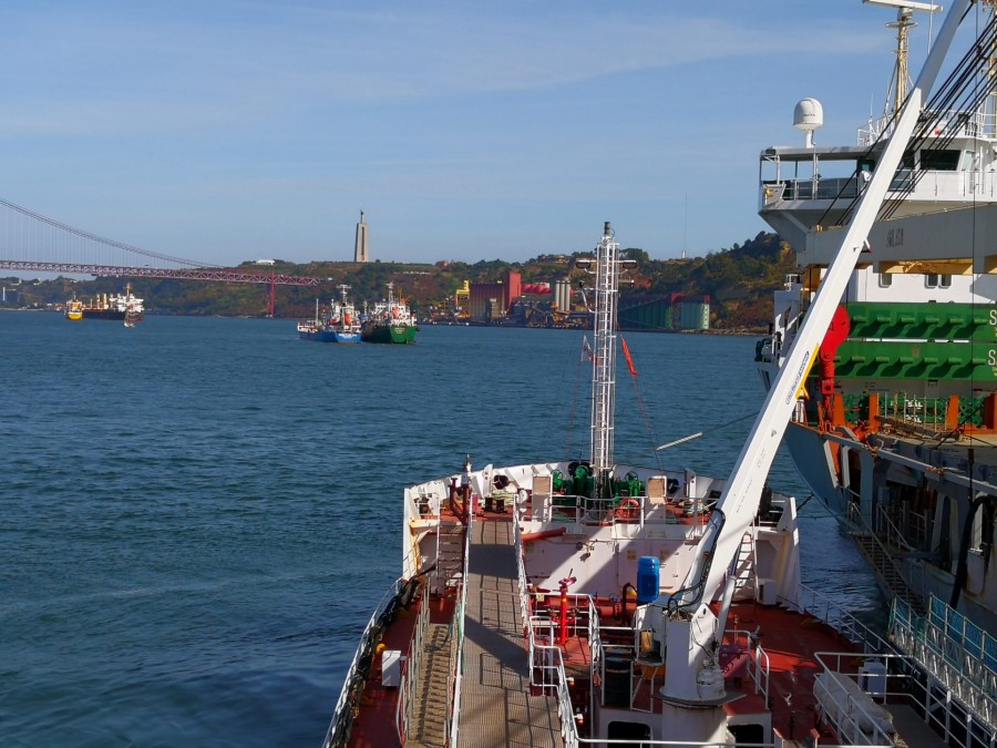 Terminais realizam pela primeira vez três abastecimentos em simultâneo PORTO DE LISBOA CONTINUA A AFIRMAR-SE NO MERCADO DAS BANCAS