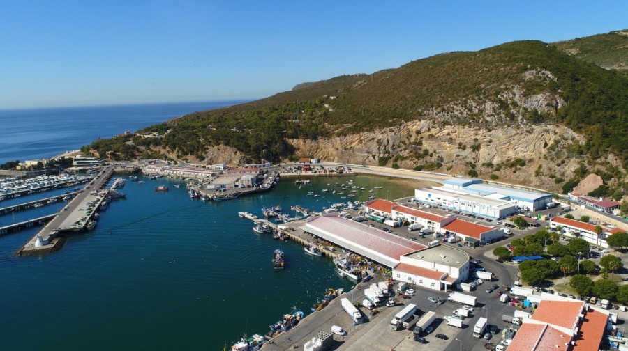 PINTURA DE ARMAZÉNS DO PORTO DE PESCA DE SESIMBRA DOCAPESCA LANÇA PROCEDIMENTO