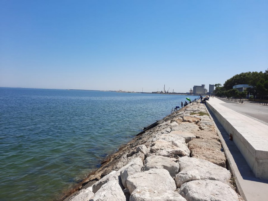 Barreiro - Pesca Desportiva no Passeio Ribeirinho Augusto Cabrita Meia centena de pescadores na última jornada do Campeonato Nacional Boia Mar