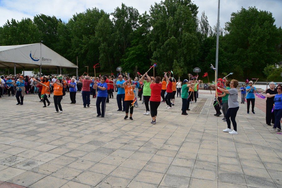 Barreiro - Parque da Cidade recebeu a FestiMexe Encerramento da época desportiva da ginástica sénior