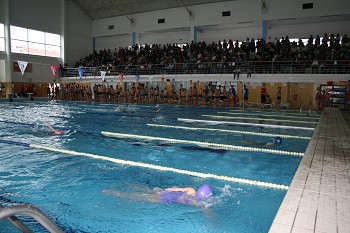Festival da Escola de Natação da Palmela Desporto Encheu Piscina de Pinhal Novo com atletas e espetadores