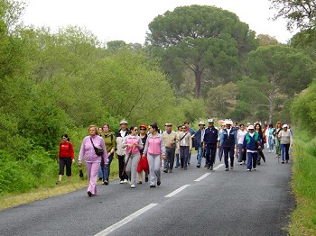 No Montijo Free Trail Runing e Trekking Caminhada