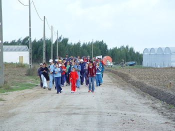 Passeio Pedestre «Rota das Gerberas» no Montijo
