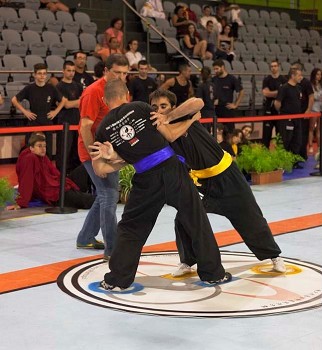 No Seixal Seixal recebe Campeonato de Kung Fu