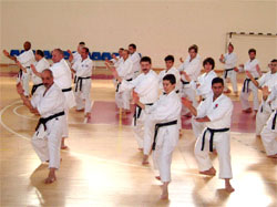 ESTÁGIO INTERNACIONAL DE KARATE SHOTOKAN