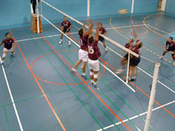 Voleibol “Seniores cada vez mais primeiros!!!”