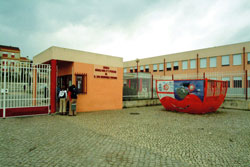 Na Escola Mendonça Furtado Distrital de Basquetebol do Desporto Escolar