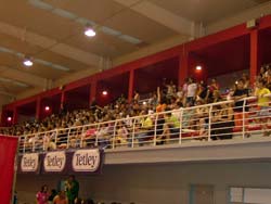 No Barreiro Sarau Anual de Ginástica da SFAL levou milhares ao Pavilhão Municipal