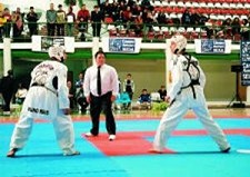 II Torneio Internacional de Taekwondo do Seixal Atletas internacionais na Torre da Marinha