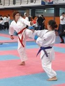 Karaté no Seixal Corroios recebe Estágio Internacional de Técnica