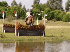 Alcácer do Sal Vale Sabroso recebe prova equestre internacional