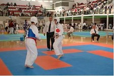 No Seixal Campeonato Nacional de Taekwondo no próximo sábado na Torre da Marinha