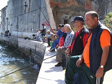 Trabalhadores da Autarquia de Almada do PCP Concurso de Pesca Desportiva juntou mais de 50 trabalhadores