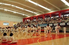 BARREIRO - Na Escola Secundária de Santo António Estágio da Liga Nacional Karaté Portugal