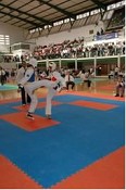 No Seixal Torneio Internacional de Taekwondo
