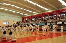 No Barreiro Estágio Internacional da Liga Nacional de Karate Portugal