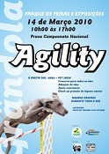 Em Grândola Agility – Prova do Campeonato Nacional