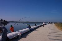 U.F.C.Jardiense/Decathlon Montijo 5º Concurso de Pesca na zona ribeirinha