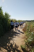 Passeio Pedestre "Caminhada à Beira Tejo" na Moita Câmara incentiva prática de exercício físico ao ar livre