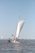 IX Regata Moita – Vila Franca de Xira - Moita