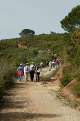 Uma vida mais activa e mais saudável em Palmela Destaque para a Caminhada Desportiva «Serra de S. Francisco ao Luar»