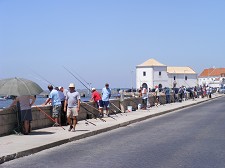Em Alcochete Mais uma edição do Torneio de Pesca Desportiva da Festa do Avante!