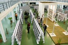 Campeonato Ornitológico da Costa Azul de Setúbal Aves a concurso no Pavilhão Municipal de Exposições da Moita