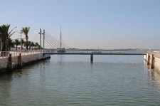 Montijo: uma cidade amiga da idade Caminhada de sensibilização