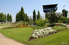 No Parque José Afonso na Baixa da Banheira - Moita Fitness ao Ar Livre