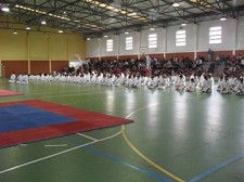 PALMELA - Escola de Karaté participação positiva No Torneio Convívio da associação Karaté-do Portugal Shotokan