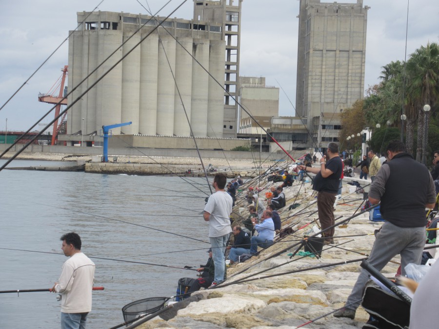 Barreiro - Concurso de Pesca do Silveirense Participação de 93 pescadores