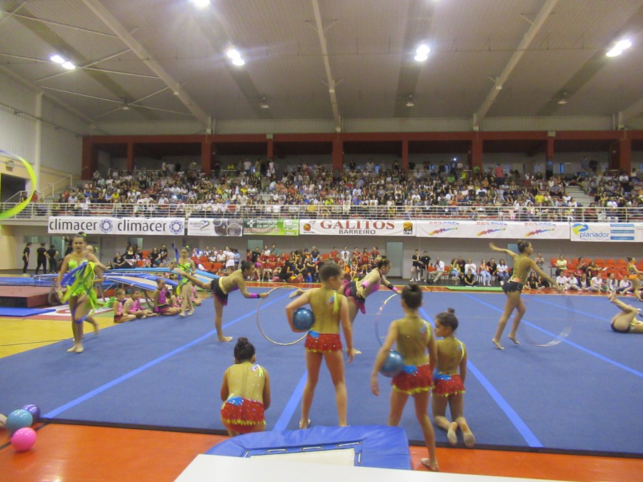 Barreiro - No Pavilhão Municipal Luis de Carvalho Sarau de Ginástica da SFAL encerra época desportiva