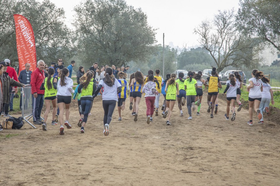 Palmela - Campeonato Regional de Corta Mato Atletas do concelho conquistam lugares no pódio