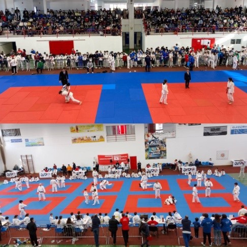 Jornadas da Juventude da Associação Distrital de Judo de Setúbal Academia de Judo do Barreiro participou no 26º Torneio do Concelho de Palmela