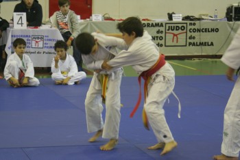 Judo - Torneio do Concelho de Palmela G.D. Fabril / Academia de Judo do Barreiro obteve 2º lugar
