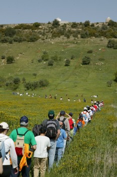 Do Castelo de Palmela às serras do Gaiteiro e do Louro Caminhada desportiva dá a conhecer paisagens da Arrábida