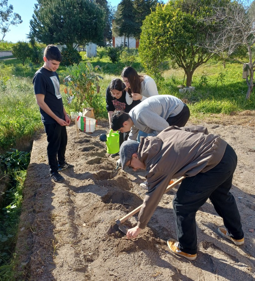 BARREIRO - PROJETOS DE VOLUNTARIADO DA ESCOLA DE CASQUILHOS PREMIADOS PELA FUNDAÇÃO AMI