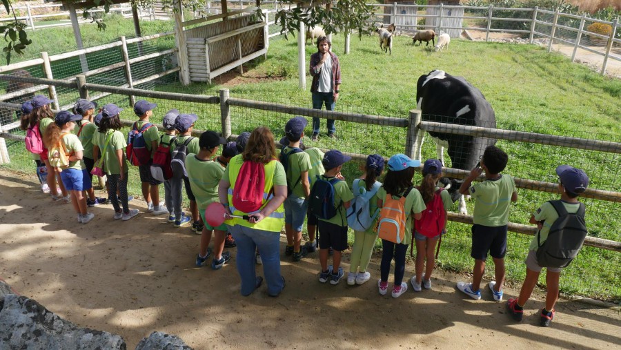 Quinta Pedagógica de São Paulo em pleno Parque Natural da Arrábida Abre portas aos alunos do ensino básico da Região de Setúbal . Visitas gratuitas