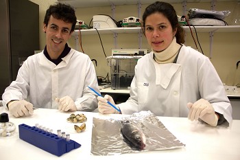 Teste pioneiro da Universidade de Aveiro prova origem do peixe de aquacultura Investigação do Departamento de Biologia quer combater a fraude e ajudar os consumidores
