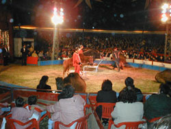 Escola Secundária Augusto Cabrita Festa de Natal reúne comunidade educativa do Barreiro no Circo