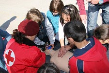Em Setúbal Semana da Segurança e Educação Rodoviária mobiliza 350 crianças
