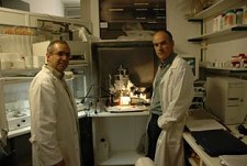 Óxido Nítrico: a ligação “Wireless” do cérebro Investigadores da Universidade de Coimbra conseguem quantificar a produção em tempo real
