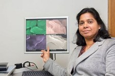 Cientistas da Universidade de Aveiro descobrem material revolucionário para armazenar hidrogénio Carros movidos a hidrogénio: um futuro que a UA traz para o presente
