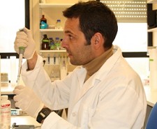Investigadores da Universidade de Coimbra identificam mecanismo responsável pela redução da comunicação entre células do coração